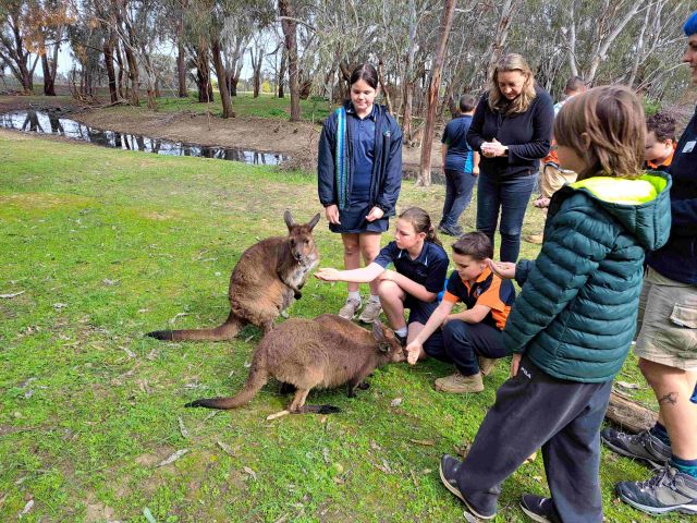 Junior Park Rangers 1