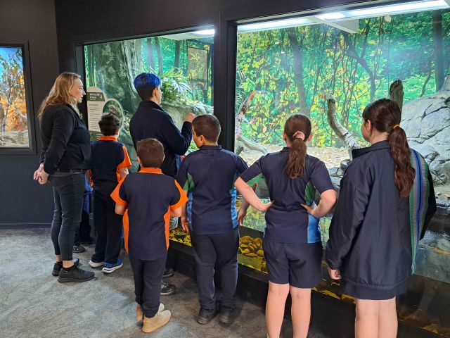 Junior Park Rangers 2 1